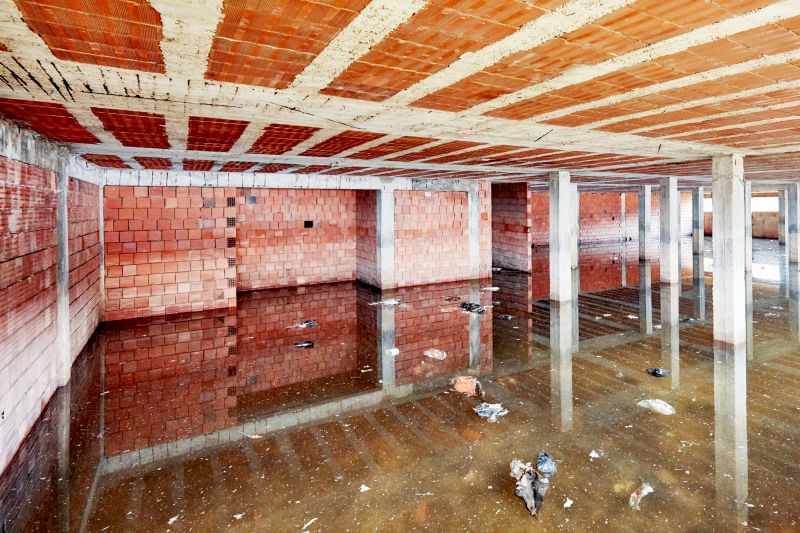 Basement Restoration Service in Wilmington, NC